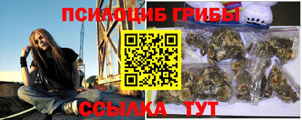 Галлюциногенные грибы GOLDEN TEACHER  хочу   Новотроицк  Вход с VPN 